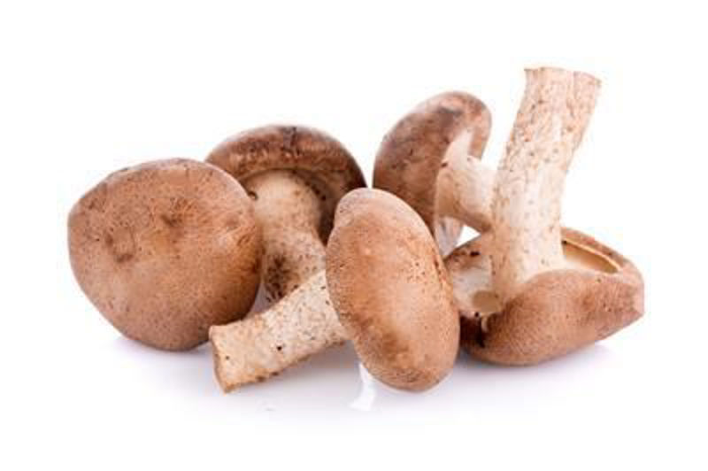 Imagen de 666666666666666 Hongo shiitake entero