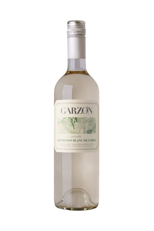 Imagen de 666666666666666 Vino Sauvignon Blanc